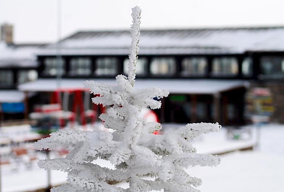 Erciyes’te etkili olan kar yağışı sonrası kar kalınlığı 20 cm ulaştı